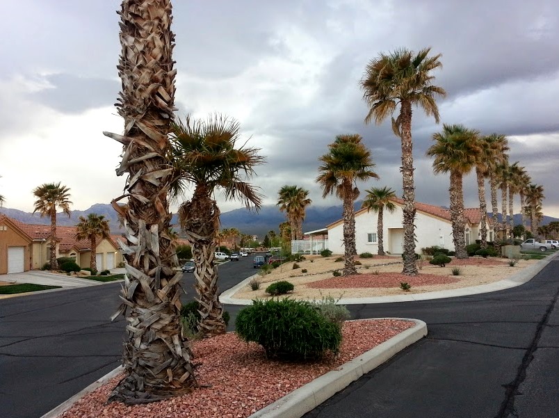 Scenic View Park in Mesquite NV